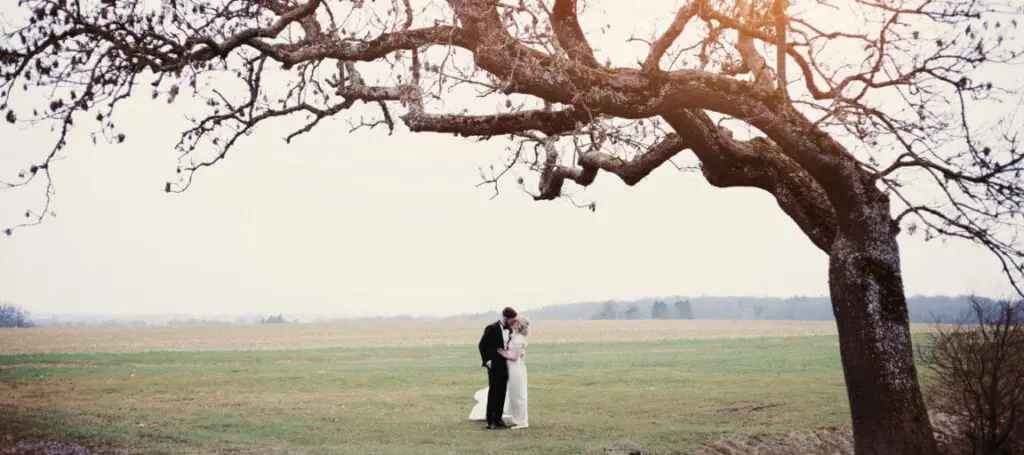 IMG 6853b 1152x512 1