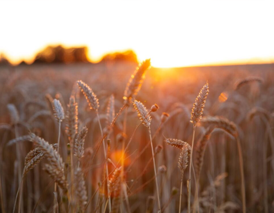 Bed & Breakfast 5 Hovedbygningen-2