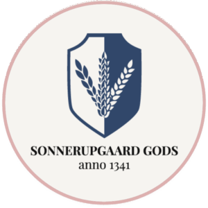 Instagram logo SG lyserod