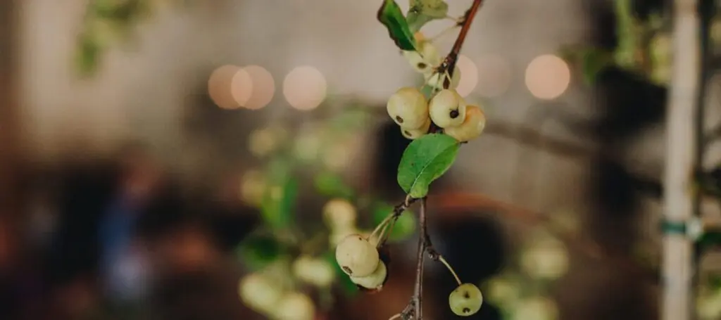 AL WeddingCopenhagen Dinner65of427 1152x512 1