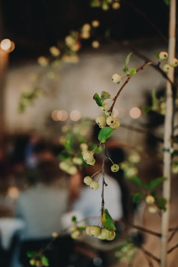 Lone <3 Azrin – Kærlighed på tværs af kontinenter: Det dansk-malaysiske sommerbryllup på godset 11 AL WeddingCopenhagen Dinner65of427
