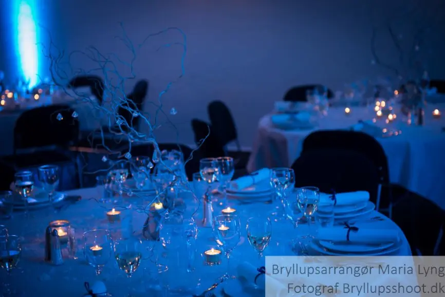 Vinterbryllup på godset 3 Mie Theis 10