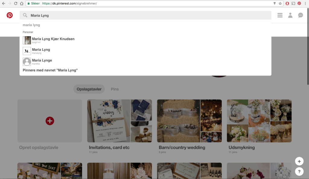Den ultimative Pinterest-guide 2 P2