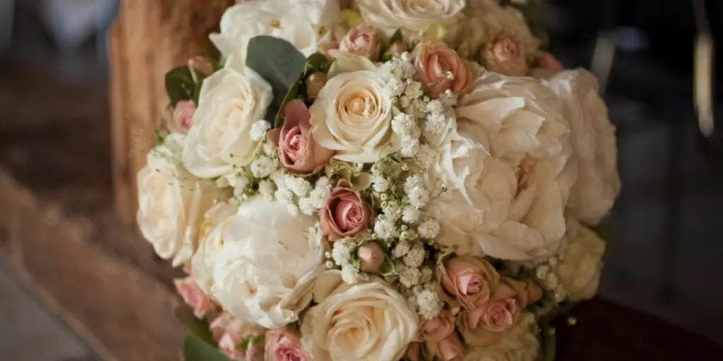 fotoguide 1024x512 1