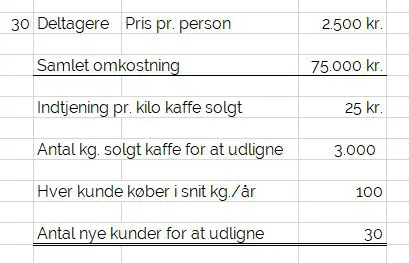Kapitel 13: Vi skal blot opstille et realistisk ROI 1 ROI regneark udklip