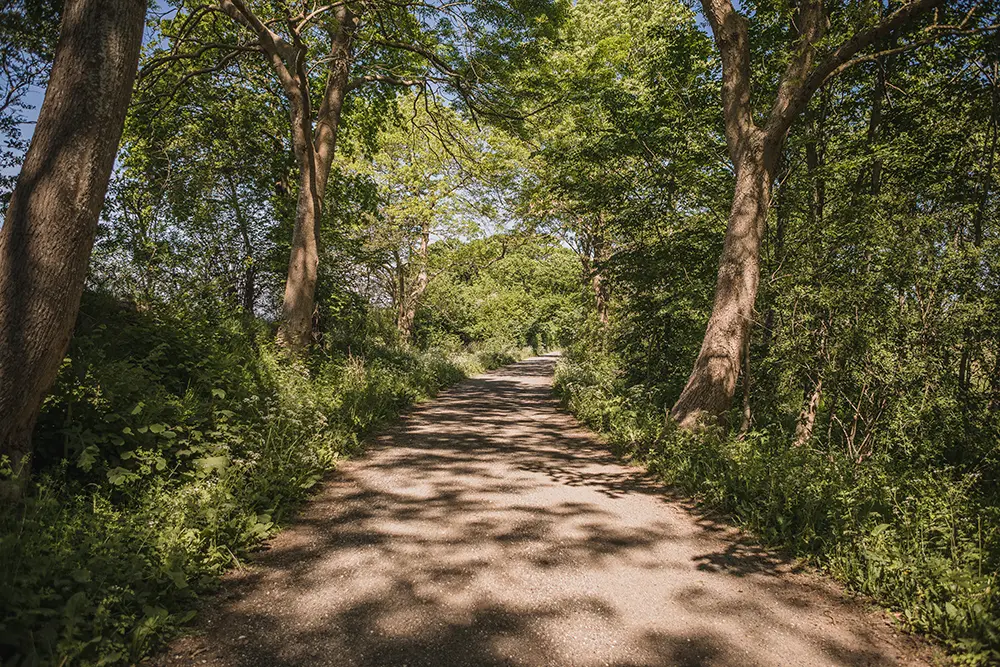 674A9994