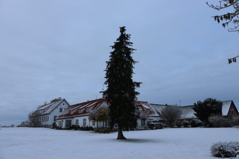sne på sonnerupgaard gods hovedbygningen kavalerfløjen reception parken